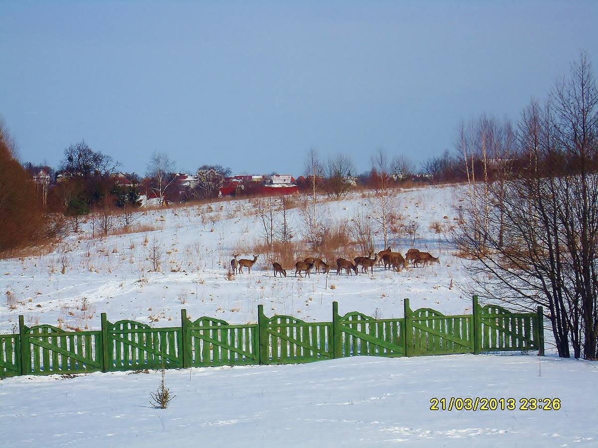 Mazurska Chata Jezioro I Aquapark 6 Min, Centrum I Promenada 12 Min Mikołajki エクステリア 写真